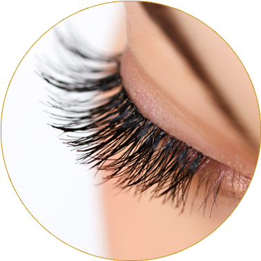 https://thebeautybarsalon.ro/wp-content/uploads/2020/01/SeekPng.com_eyelashes-png_107100.png